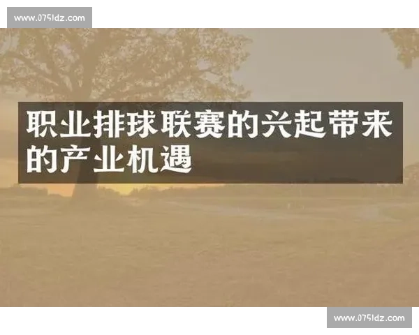 以职业联赛为核心推动体育产业高质量发展的全新路径研究探索